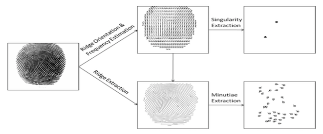 清華大學馮建江:指紋識別現狀與研究進展