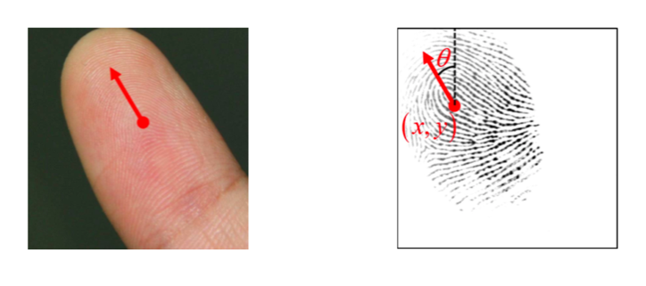 清華大學馮建江:指紋識別現狀與研究進展