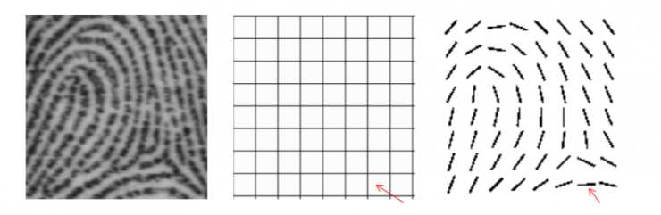 清華大學馮建江:指紋識別現狀與研究進展
