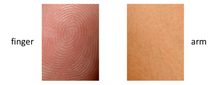 清華大學馮建江:指紋識別現狀與研究進展