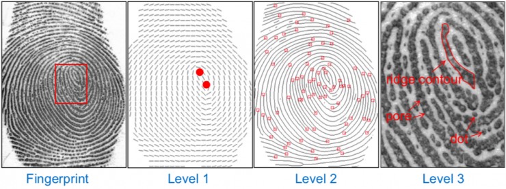 清華大學馮建江:指紋識別現狀與研究進展